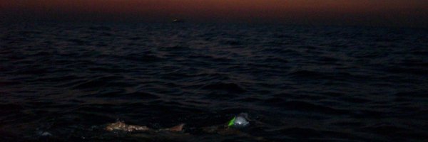 IASC Profile Banner