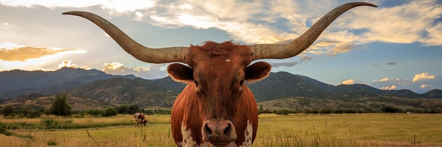 Texas_Mike13's profile banner image