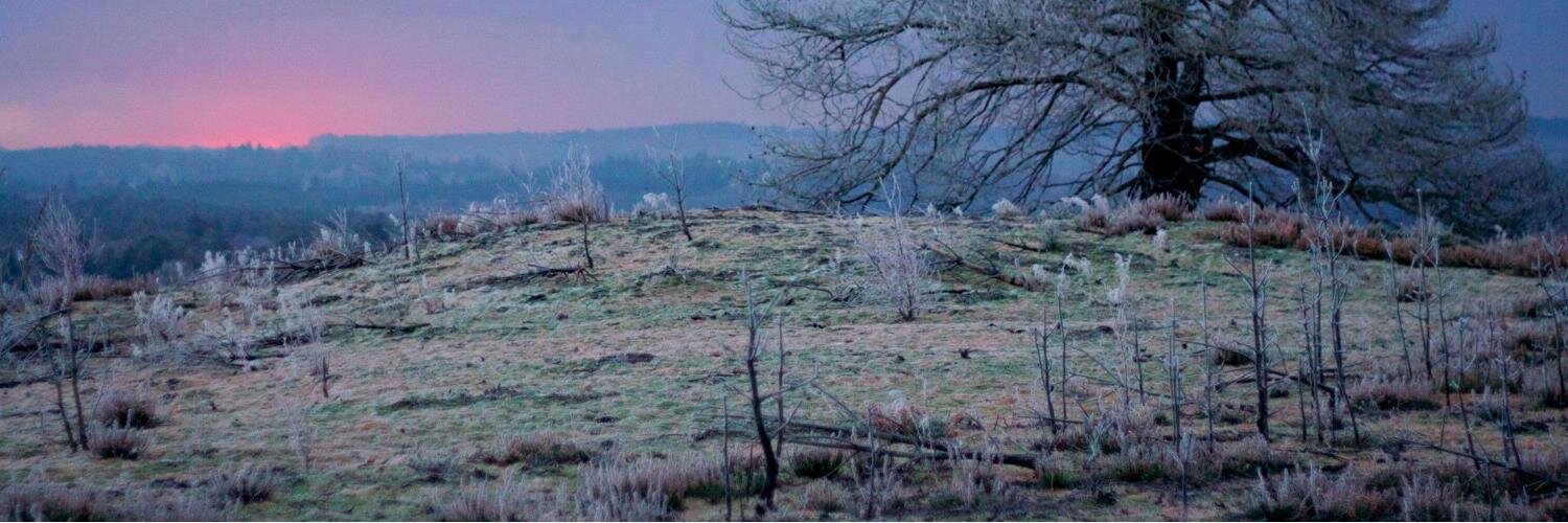 Louise Doherty banner