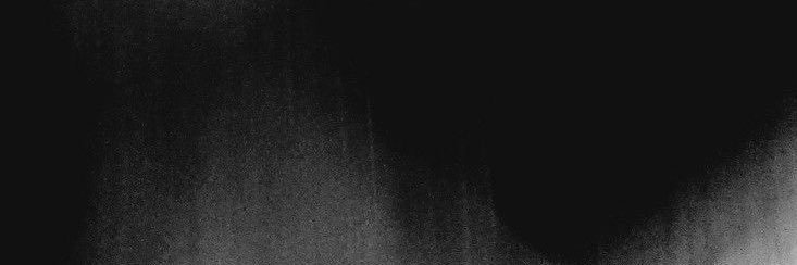 fushspring's profile banner image