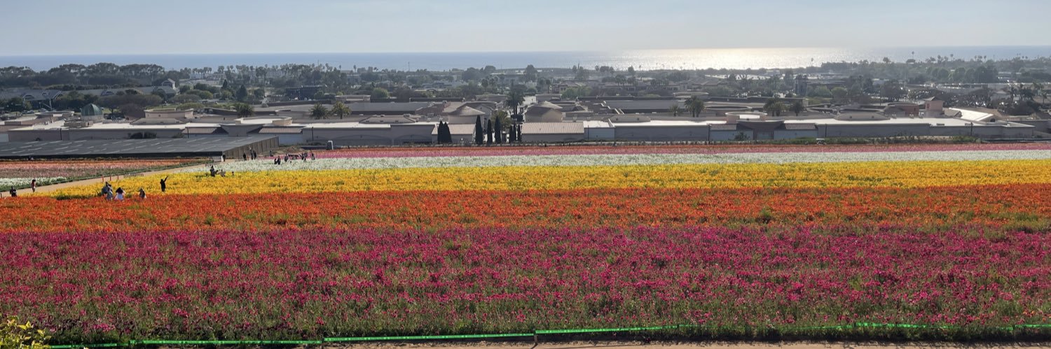 fbernal's profile banner image
