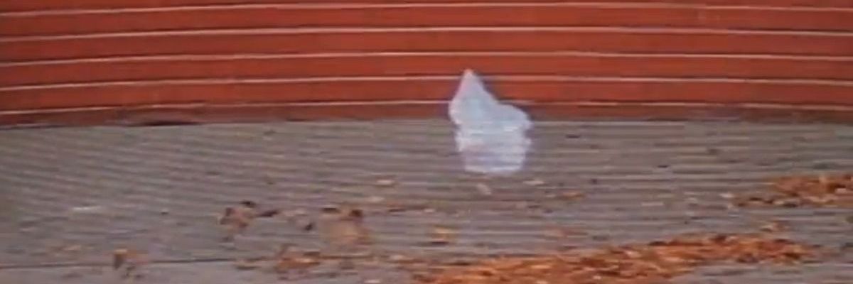 Sindicato de Golosinas. banner