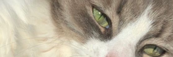 sthetugba's profile banner image