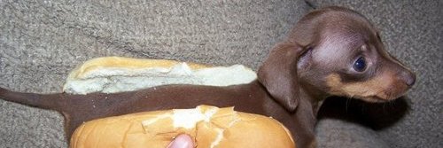 OscarAmer's profile banner image