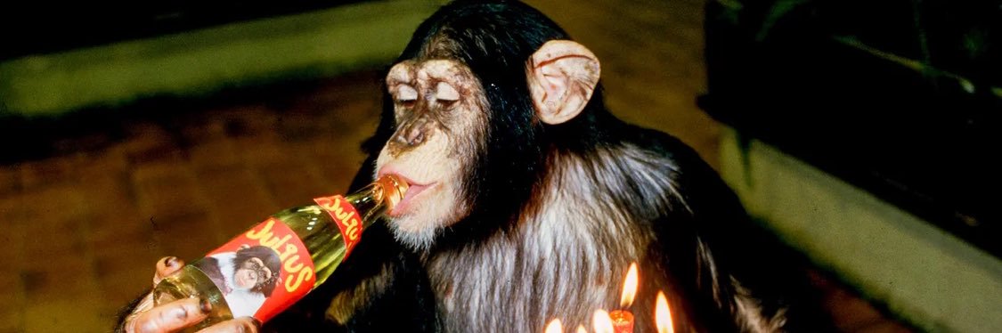 Julius x Start banner