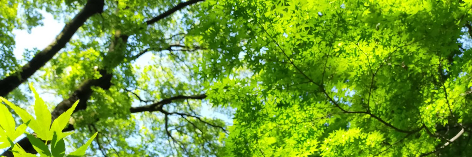 こも@取引垢 banner