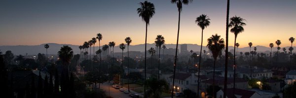 DrWilliamsIsIn Profile Banner