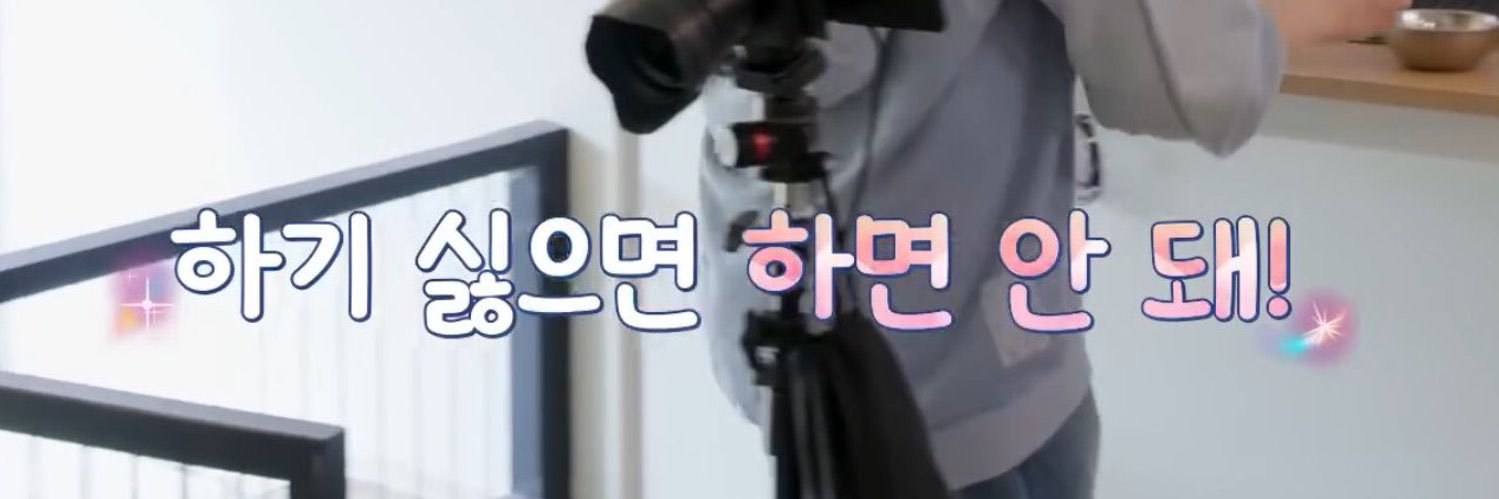 머그's banner