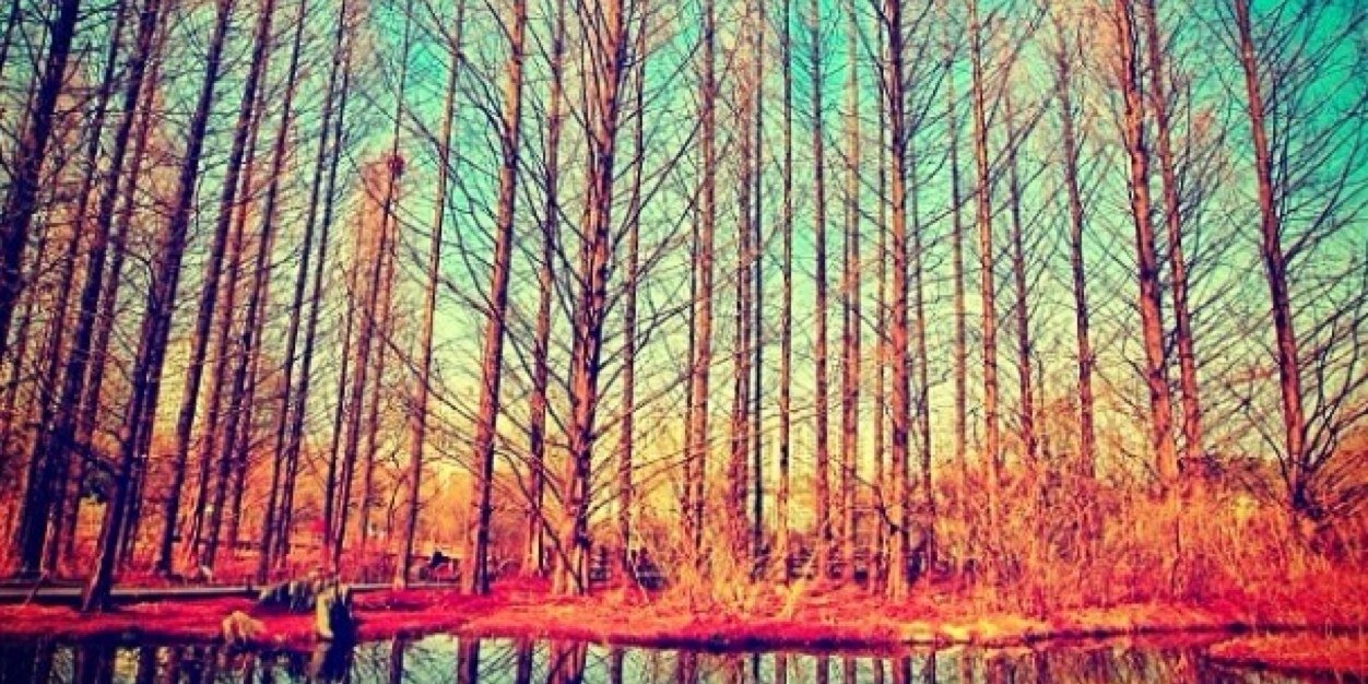inesFregonese's profile banner image