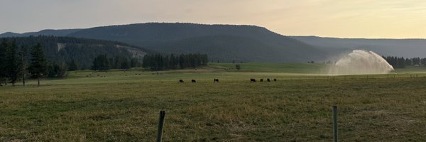 sforseth000 Profile Banner
