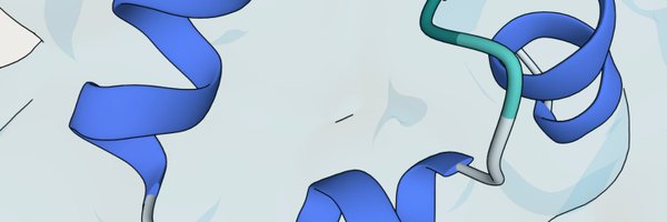 chaidiscovery Profile Banner
