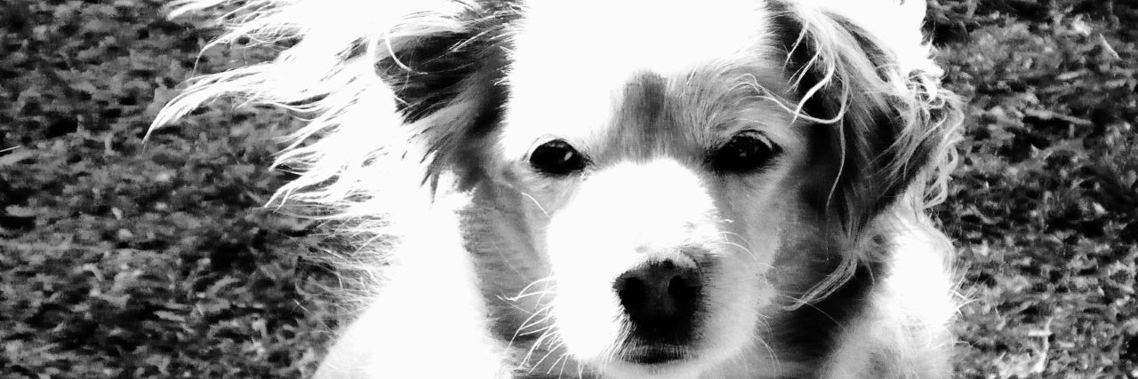 Natalia Nowak banner