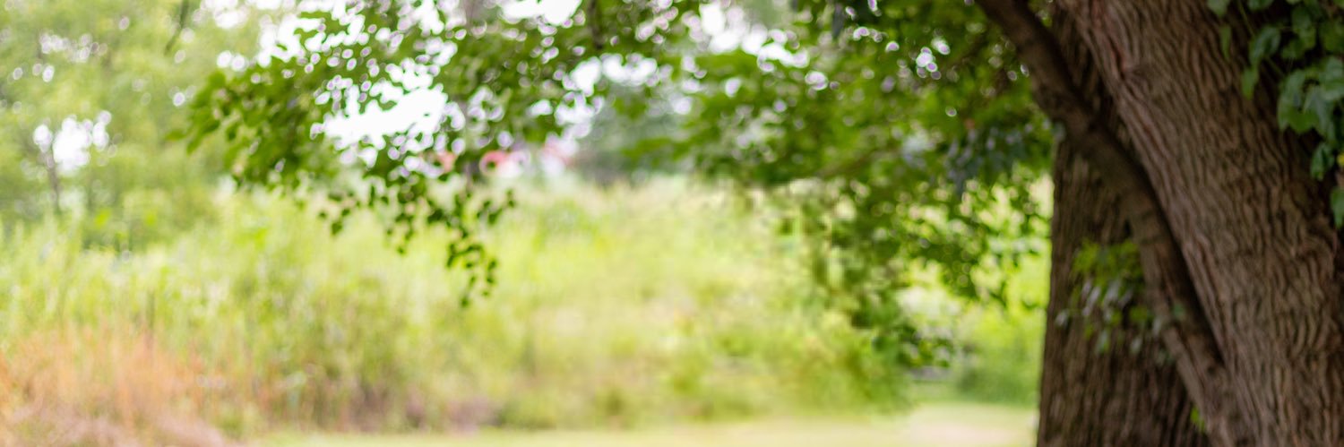 Amy Loudenbeck banner