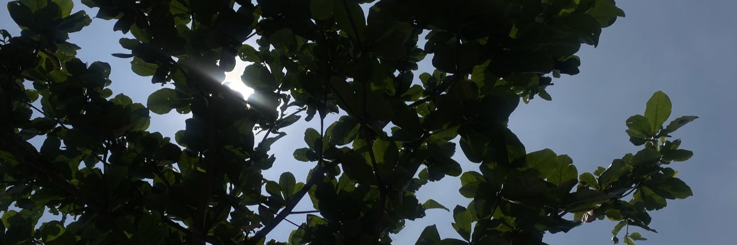 Nielsha🐈🧃🙂‍↕️ banner