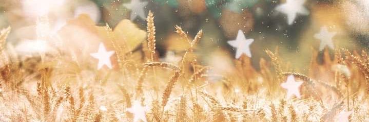 ꪆ𓏲 VIVICA / DANI 击̸ XØ — PTV 26/9's banner