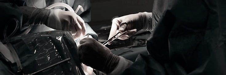 nat's banner