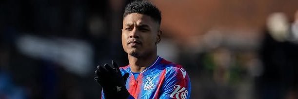 Palace a la Carolina banner