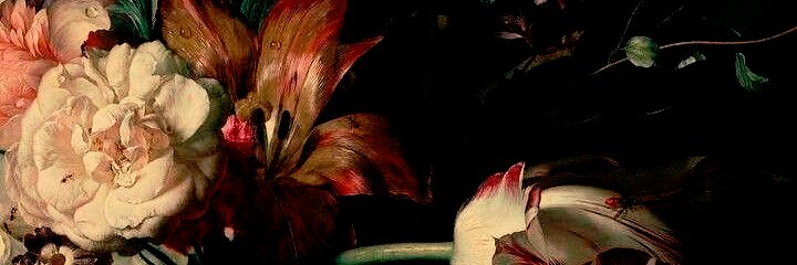 Oriphine. banner
