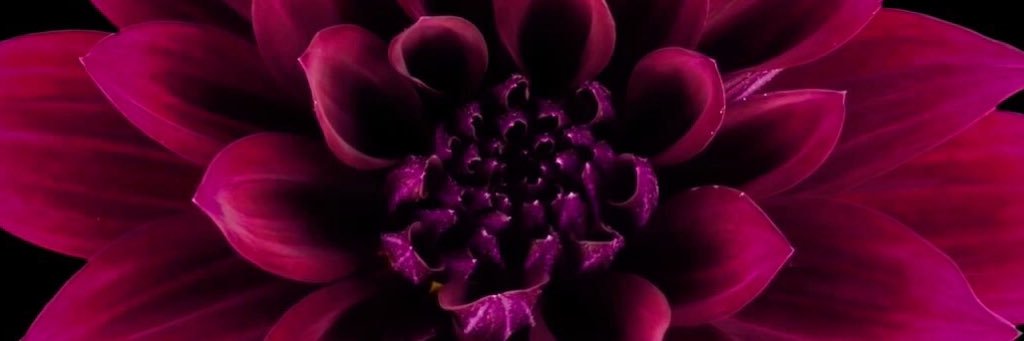Bitchyoubasicx3's profile banner image