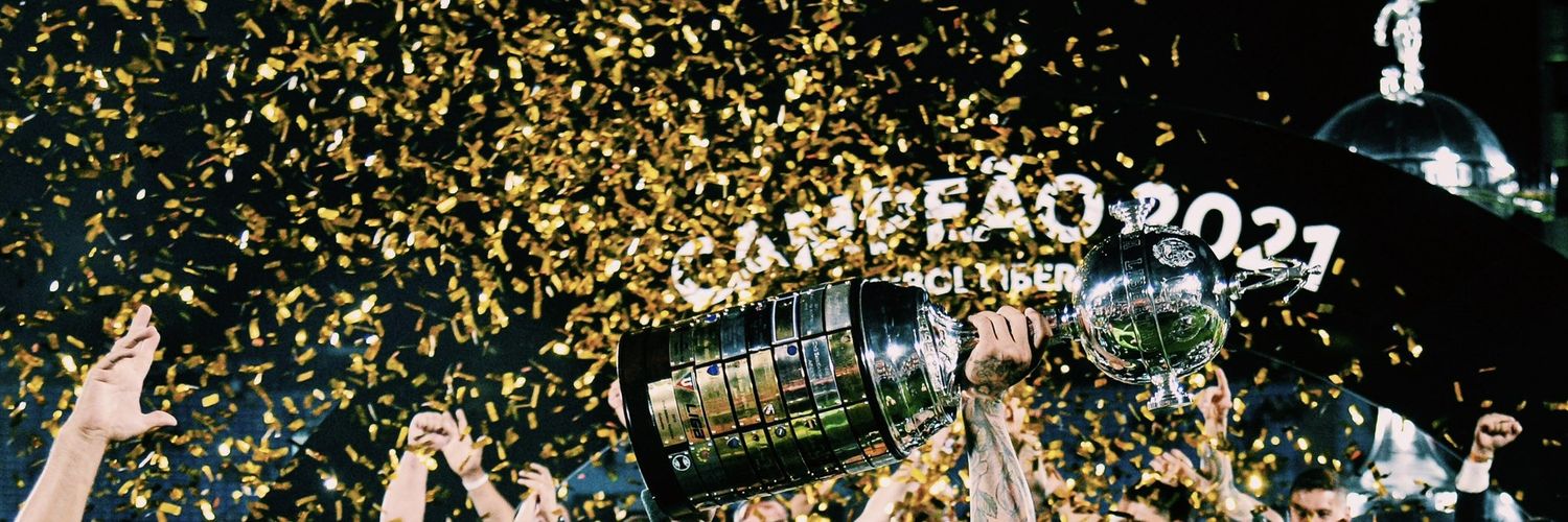 mago banner