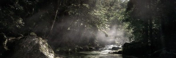 syrupalt Profile Banner