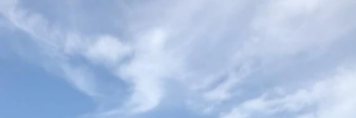 irma2894's profile banner image