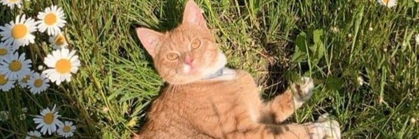 ifortatum Profile Banner