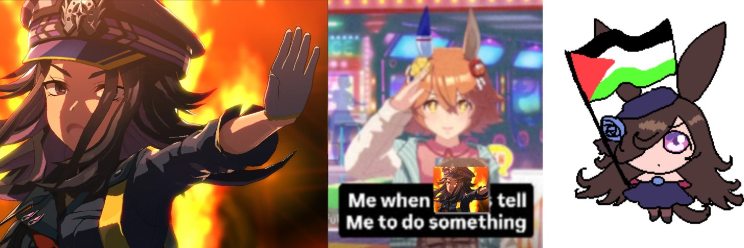 DaN1 banner