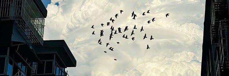 Indrawan Rudiyanto banner