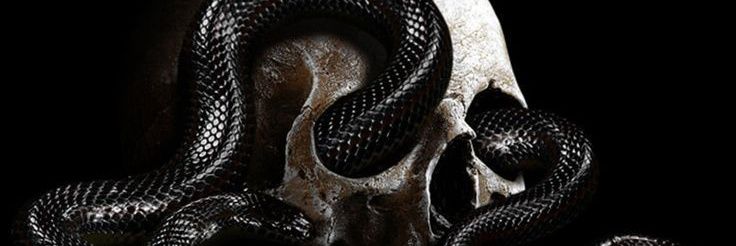 Etikash's profile banner image