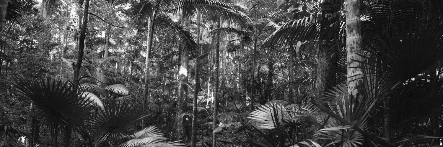 Juan L. Cantalapiedra banner