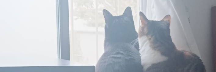 じゅう banner