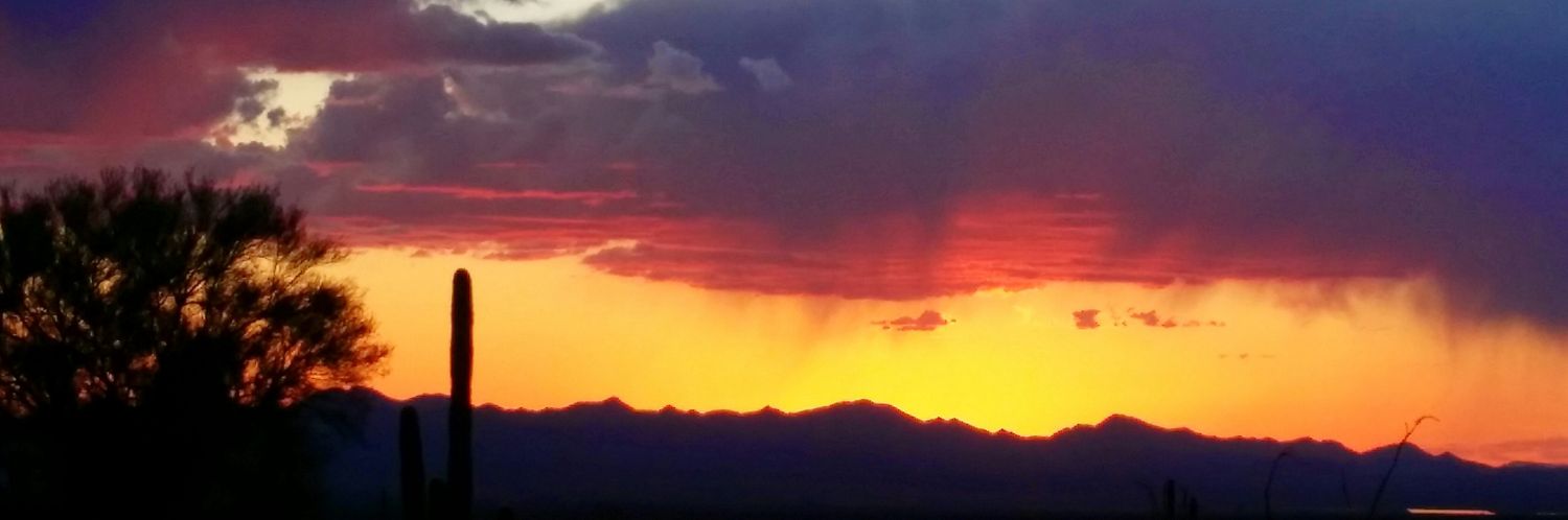 Psychotic Mike banner