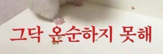 태태's banner