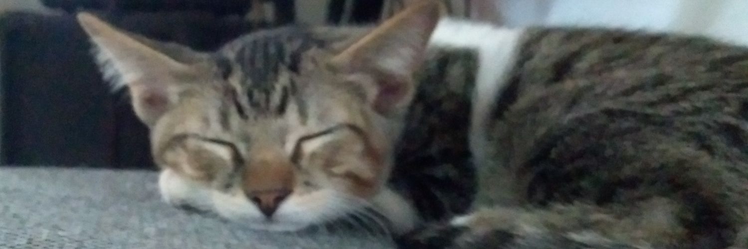 GutoSaantos's profile banner image