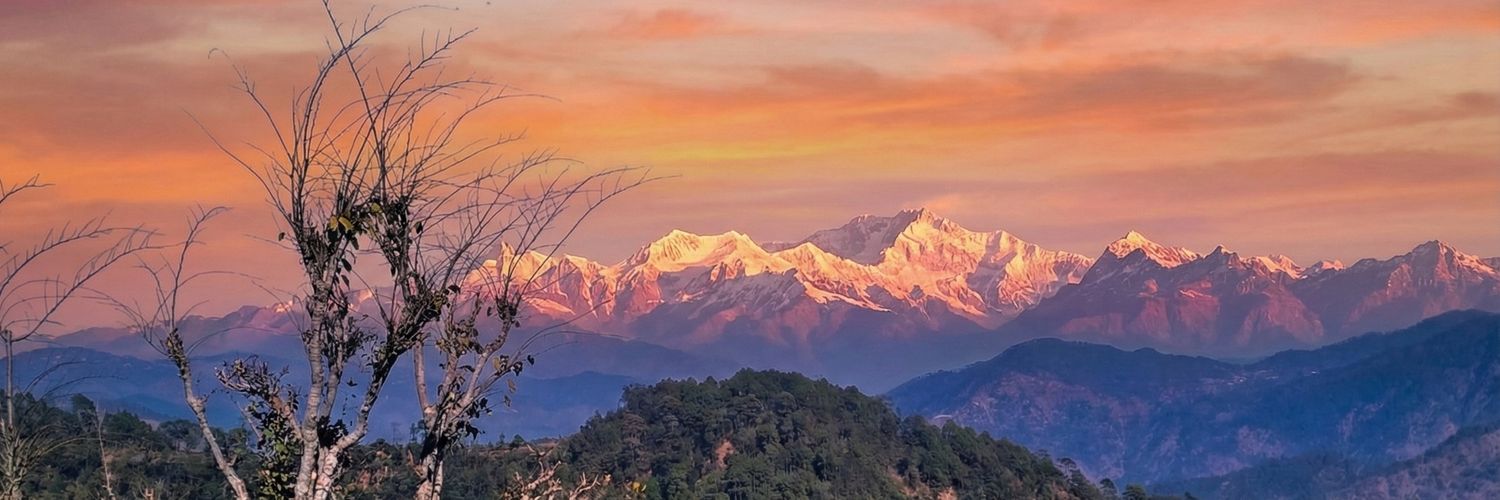 ankitreshwall's profile banner image