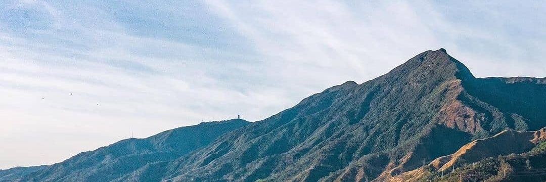 Tucusito 🌹 banner