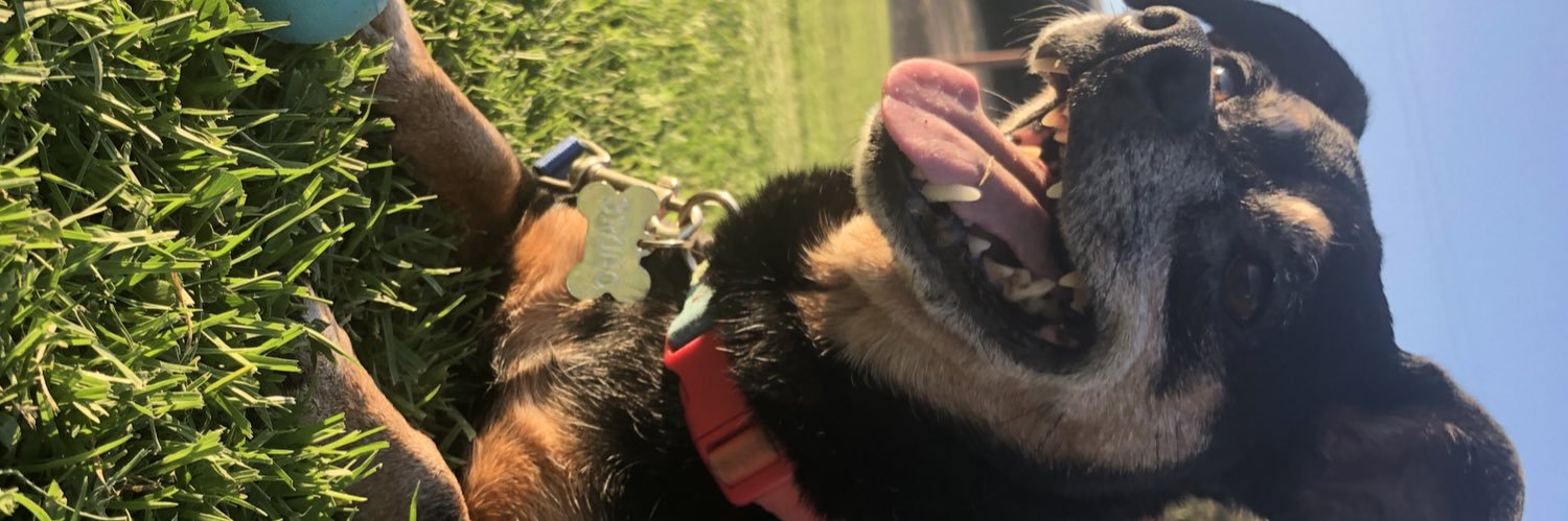 MsLegasse's profile banner image