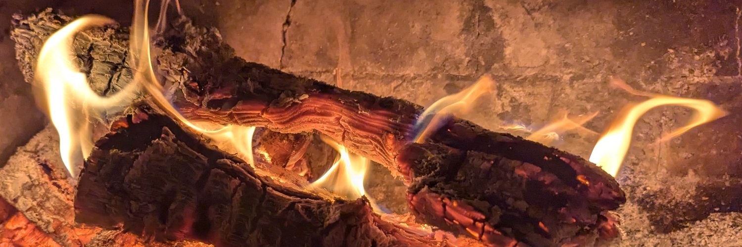 Curious Observer banner