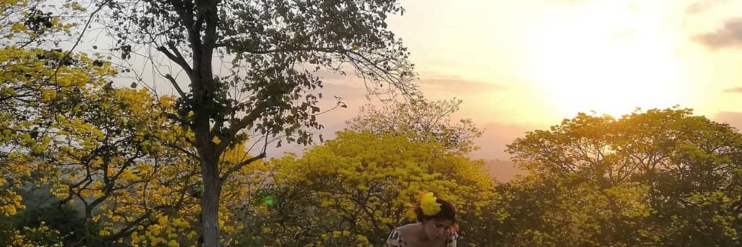 JennyaGutcon's profile banner image