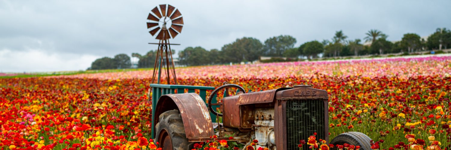 Matthew Glasser banner