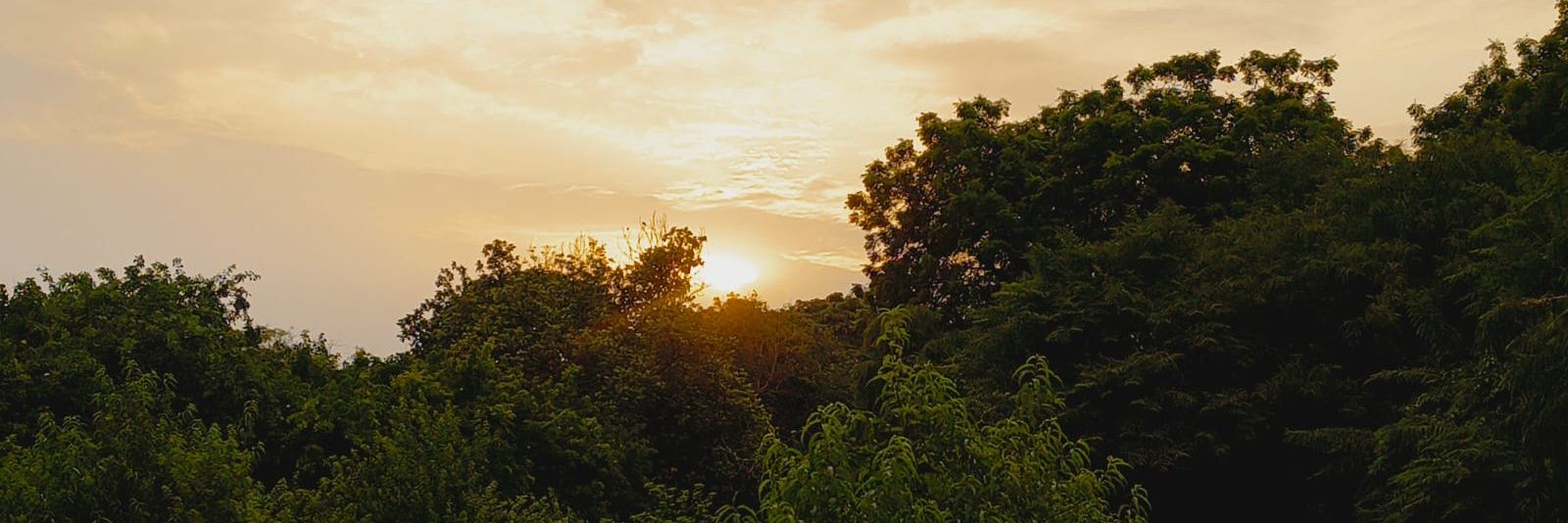 vertiavi's profile banner image