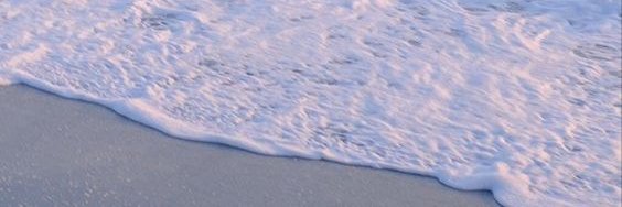 winnerstch's profile banner image
