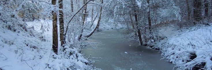 ❄️ Glasera 🐾 banner