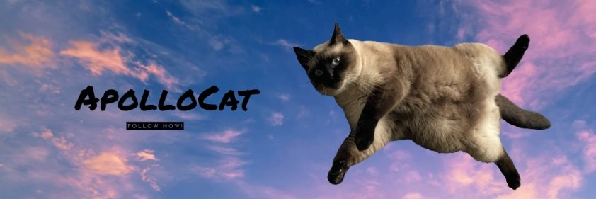 ApolloCAT_SOL's profile banner image