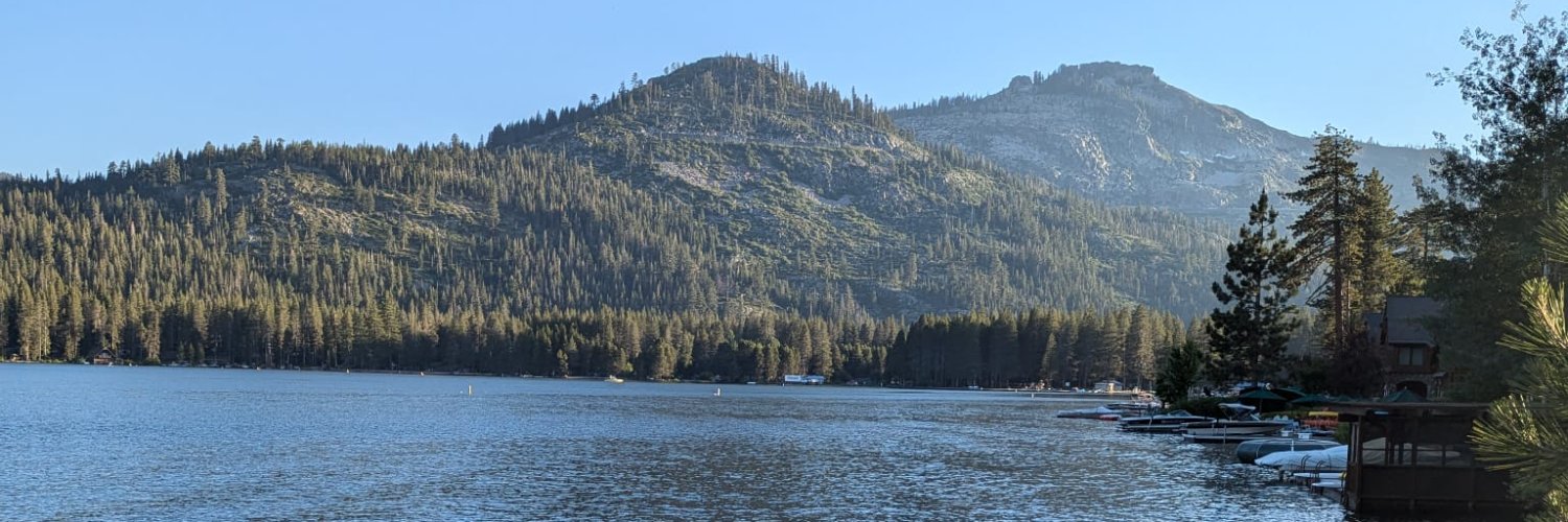 Alexander Statnikov banner