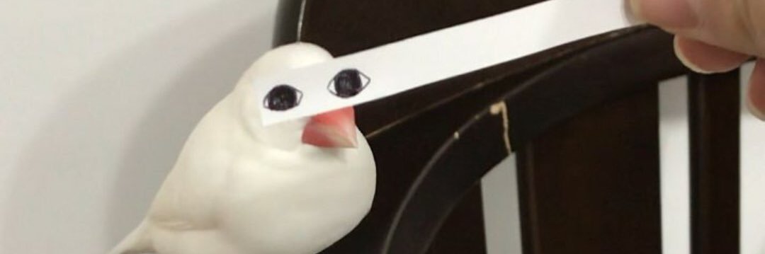 RupertLP's profile banner image