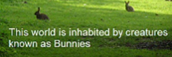 yonibitchell Profile Banner