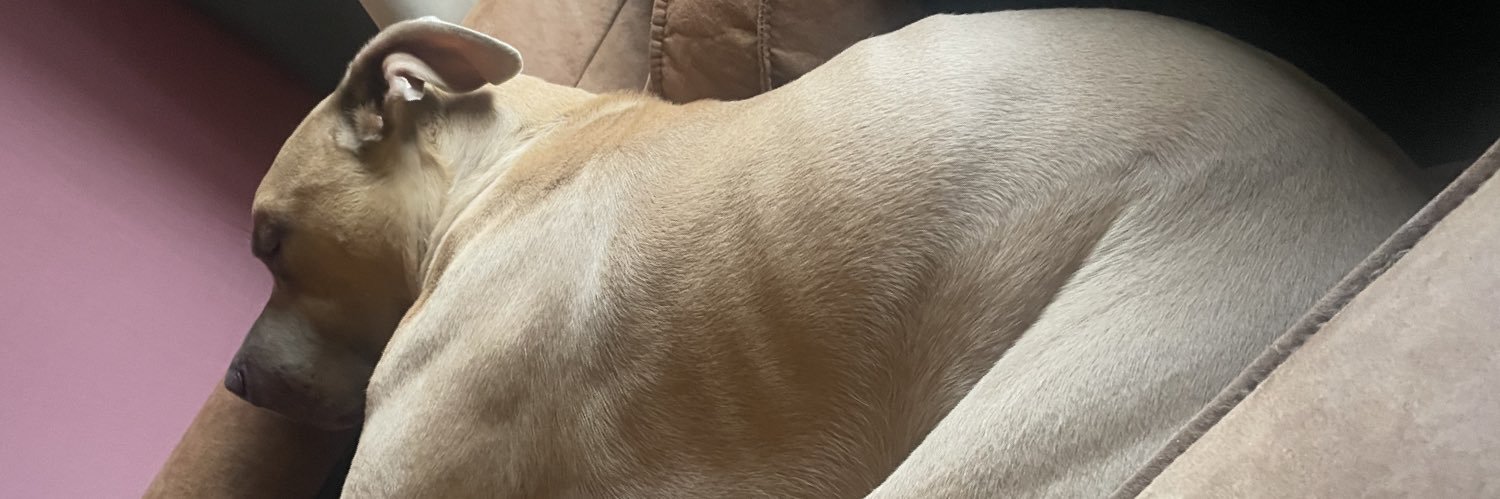 TattooAlpha's profile banner image