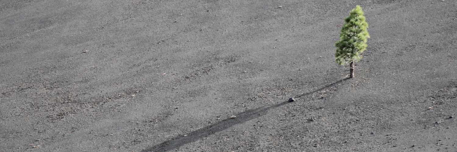 eddie_stephens's profile banner image